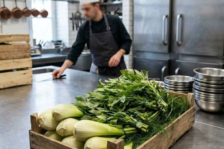 Cageot de fenouil et livèche de saison dans une cuisine de restaurant